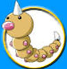 Pokmon Weedle