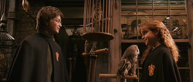 Señor de los Anillos,www.thelordoftherings.com,Tolkien,peliculas,cines,movies,www.lordoftherings.net,www.warofthering.net,games,download,www.elfenomeno.com,pictures,images,imagenes,fotos,photos,postcards,señor de los anillos,peliculas,estrenos,bajar,web,Diario Accion de General Rodriguez, politica, actualidad, noticias e informacion, personalidades e instituciones, policiales, galerias de fotos; historia de General Rodriguez, sus origenes, edificios, estancias, habitos y costumbres, anecdotas, comercios e industrias, los fundadores, antiguas instituciones, fotos e imagenes; suplementos especiales: la crisis politica, economica y social de la Argentina, los acontecimientos de Diciembre de 2001, articulos y entrevistas; Emigracion: toda la informacion destinada a aquellos que desean emigrar, radicarse o estudiar en el exterior, visas, pasaportes, consejos, guias, informacion util, links; Trueque: novedades e informacion, links, estructura del trueque; el casamiento de Maxima Zorreguieta y el principe Guillermo Alejandro de Holanda; Guerra de Afganistan: galeria de imagenes e informacion sobre la primera guerra del siglo XXI; la guerra de Irak, Bagdad, Georges W. Bush, Saddam Husseim, el atentado a las torres Gemelas de Nueva York, las twin towers, el 11-s, y descripcion del hecho que conmovio al mundo; Empleo: consultoras, clasificados, agencias de empleo, consejos e informacion util, curriculum vitae, como confeccionarlos, noticias de actualidad; 
Los numeros de la crisis: Las consecuencias de la crisis politica, economica y social; estadisticas, pobreza, desnutricion, salud y asistencia; noticias regionales y provinciales, columnas y editoriales; informacion para negocios: pymes, links, empresas y negocios; Agenda Cultural con toda la informacion de cursos, universidades, talleres, escuelas y oportunidades, exposiciones de arte de la region; buscadores en Internet, Enlaces: links a los mejores sitios de educacion, cultura, arte, biografias, politica, interes general, web, Links del Diario Accion: RMS Titanic, su historia, su tragico viaje inaugural; historias, testimonios, documentos y articulos sobre el naufragio; links y sitios sobre el tema; la pelicula de Cameron, fotos e imagenes; suplementos especiales, Historia Argentina y de General Rodriguez, la llegada de la democracia en General Rodriguez, la asuncion de Juan Lumbreras como intendente en 1983, galeria de imagenes, sus palabras y los actos, su gabinete, festejos de la comunidad. Fundacion del pueblo de General Rodriguez, sus instituciones y personalidades relevantes, arquitectura y edificios, comercios e industrias, sus comienzos, estancias, inmigraciones italianas, españolas, vascas e irlandesas, anecdotas y efemerides, sus hombres ilustres, el Hospital Vicente Lopez y Planes, su fundacion por las Damas de Beneficencia, el hundimiento del crucero General Belgrano, testimonios de ex combatientes y tripulantes, su comandante Hector Elias Bonzo, fotos e imagenes, recuerdos y homenajes, historia de la familia Bonzo de General Rodriguez, entrevistas y articulos periodisticos. La guerra de Malvinas en el Atlantico Sur, el conflicto belico con Gran Bretaña de 1982, politicos relevantes, Benjamin Paez y Trueba, fotos antiguas de familias fundadoras, galerias de imagenes de pobladores, recorrida virtual por el antiguo General Rodriguez, el paso de la Infanta en 1910, historia de La Serenisima, la familia Mastellone, La Choza, Bernardo de Irigoyen, peronismo y radicalismo y muchisimo mas