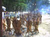 os carneiros ...
