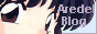 Blog_Aradel