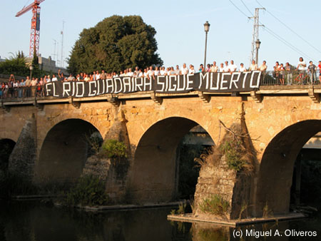 puente.jpg (650x488)