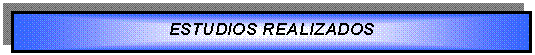 Cuadro de texto: ESTUDIOS REALIZADOS 