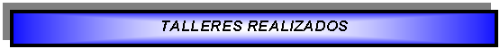 Cuadro de texto: TALLERES REALIZADOS  