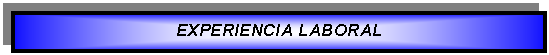 Cuadro de texto: EXPERIENCIA LABORAL   
