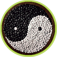 El arte de la cocina macrobiotica