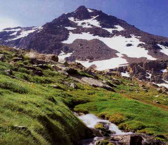 PICO VELETA