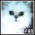 mi gata es persa *-* x eso soy fan de los persas!