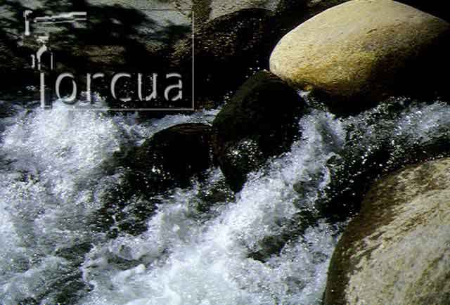 charco-de-la-mirla