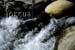 charco-de-la-mirla