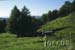 prado-candelario