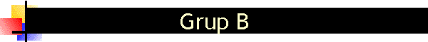 Grup B