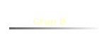 Grup B