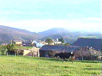 VISTA PANORAMICA DE VIDAL