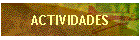 ACTIVIDADES