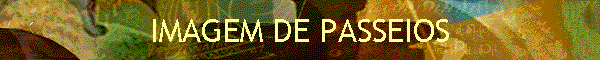 IMAGEM DE PASSEIOS