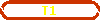 T1