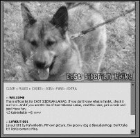 #001: Grey. Dog's owner is my friend, Mira :) Dog's name is Ikiroudan Rogi.