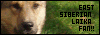 100 x 35 < ROKI