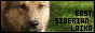 88 x 31 < ROKI
