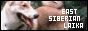 88 x 31