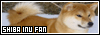 Kan-i, Ryosei, Sobuku: the Shiba Inu FL