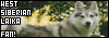the West Siberian Laika FL