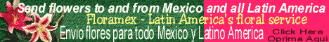 banner of floramex.com