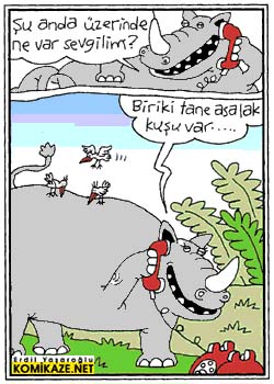 asalak_kusu