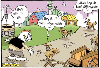 gehbilibili