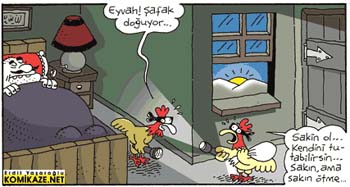 hirsiz_tavuklar