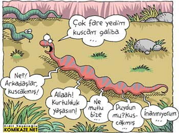 kuscamgaliba