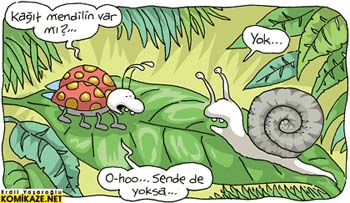 mendilinvarmi
