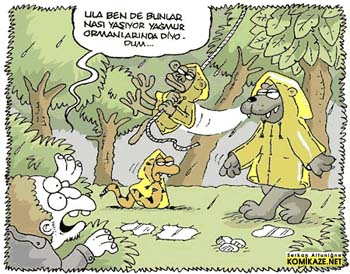 yagmurormanlari