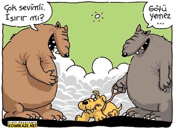 yemez