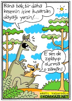 ziplayip_durma