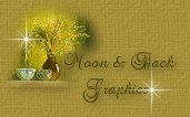 Gr�fico cortes�a de Moon and Back Graphics