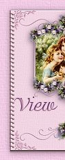 ��Conoce a mis Visitantes!!