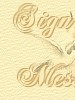 Firma y Permteme agradecer tu visita;)