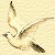 AN-beautyanddove-rdove.jpg (1526 bytes)
