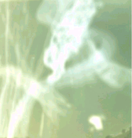Pulsar para ver imagen ampliada
