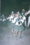 llamerada.jpg (32112 bytes)