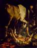 caravaggio.jpg
