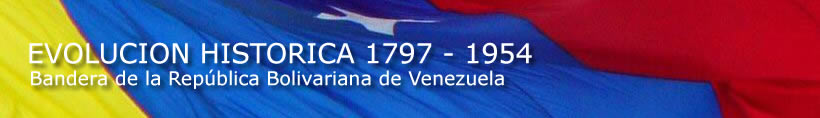 Bandera actual