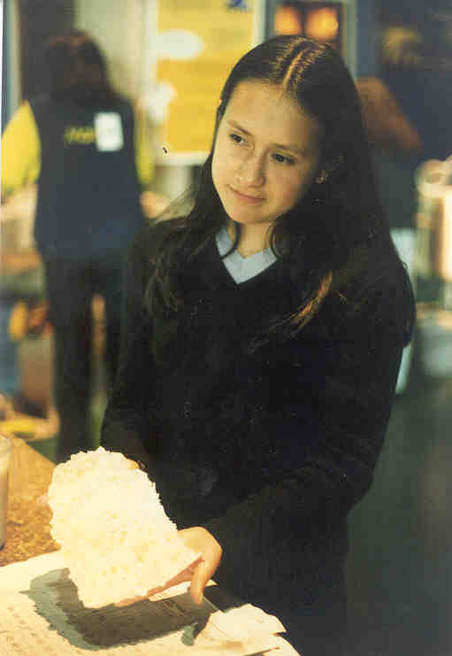 MUESTRADEPAPELRECICLADO.jpg (21929 bytes)