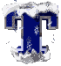 t.gif (13932 bytes)