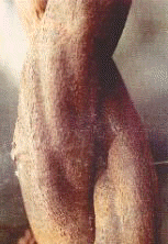 Aya6.jpg (8267 bytes)