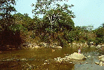 cumbaza.gif (13469 bytes)