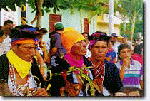 fiesta lamas.gif (18354 bytes)