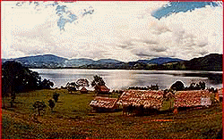 sauce.gif(16259 bytes)