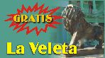 suscrbete gratis